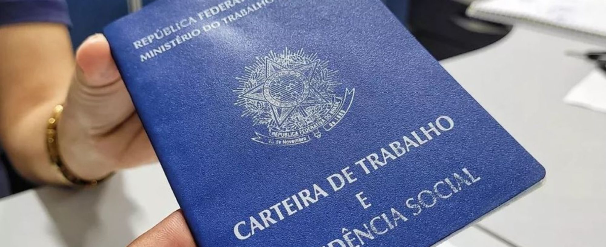 cateira-1.jpg